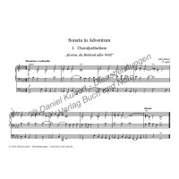 Br&auml;uer, Felix - Sonaten f&uuml;r Orgel