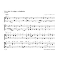 Kleine Choralvorspiele und Begleitsätze -...