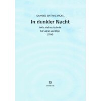 Michel, Johannes Matthias - In dunkler Nacht