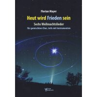 Mayer, Florian - Heut wird Frieden sein