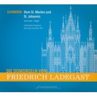 Die Domorgeln von Friedrich Ladegast - Schwerin