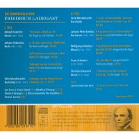 Die Domorgeln von Friedrich Ladegast - Schwerin