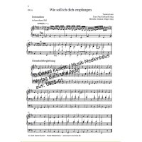 Laux, Torsten - Wie soll ich dich empfangen