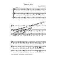 Jendrek, Johannes - Trost der Welt