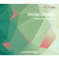 Variations on Silbermann