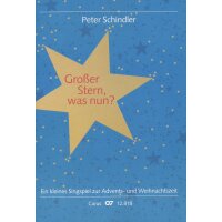 Schindler, Peter - Großer Stern, was nun?