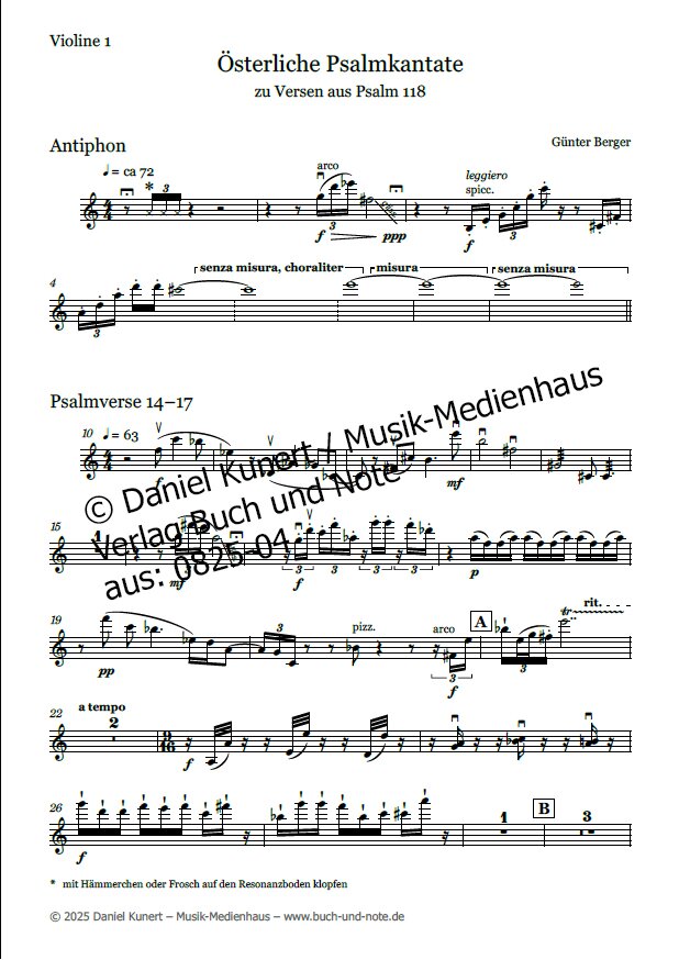 - Violine 1